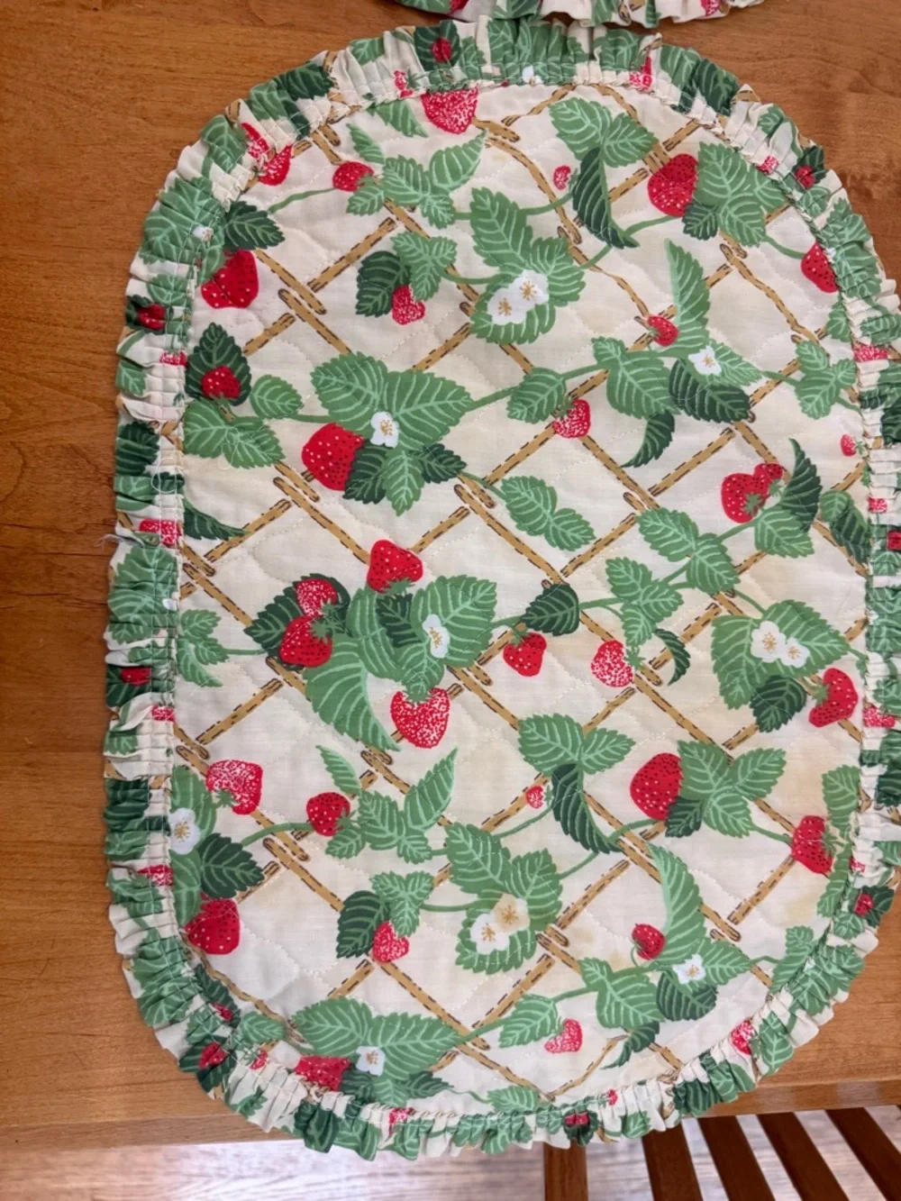 Lot of Strawberry Floral Fabric Oval Placemats Set of 4 with 4 Matching Napkins